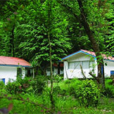 هتل جهانگردی چالوس