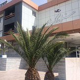 هتل کهکشان سیرجان
