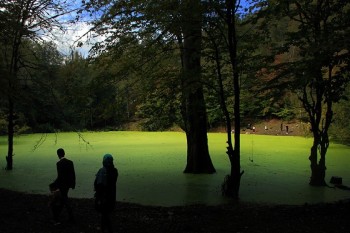 جاهای دیدنی اطراف نوشهر که نباید بدون راهنمای محلی دید