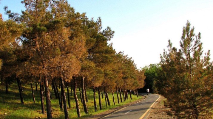 پارک چیتگر