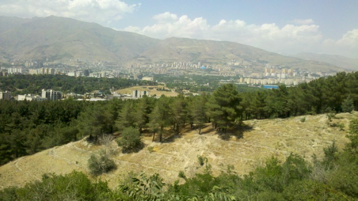 پارک جنگلی لویزان