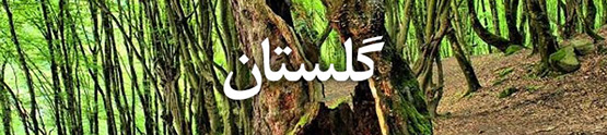 هتل های گلستان